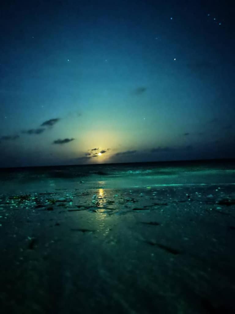 Driftwood Beach Lodge 잠비아니 외부 사진