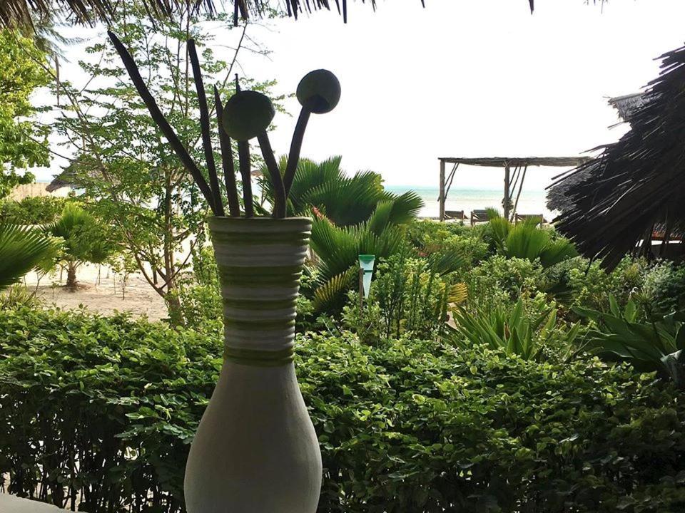 Driftwood Beach Lodge 잠비아니 외부 사진